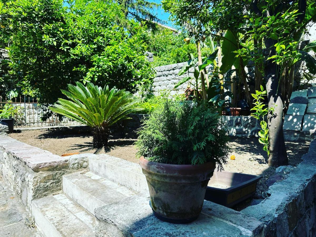 Villaoldmariner Prčanj Esterno foto